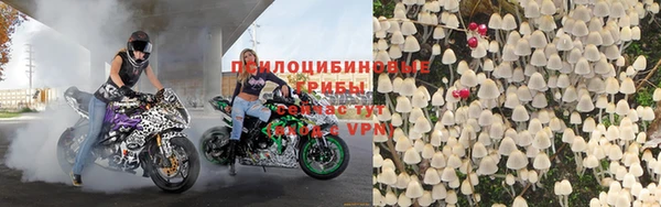 mdpv Дмитриев