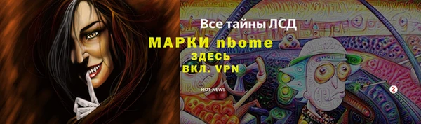 ПСИЛОЦИБИНОВЫЕ ГРИБЫ Дмитров
