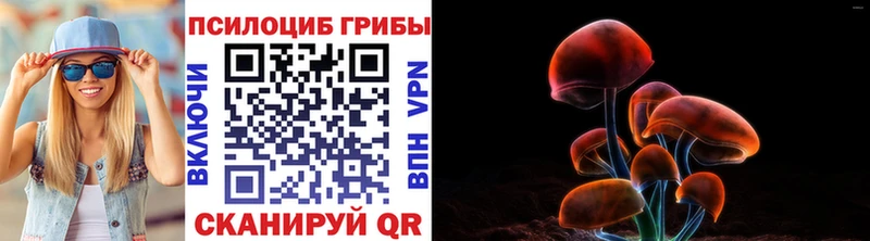 Псилоцибиновые грибы Psilocybine cubensis  Купить закладки  Бутурлиновка 
